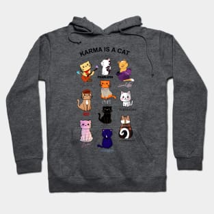 Karma Is A Cat Hoodie